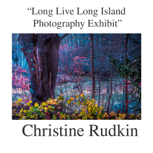 Christine Rudkin - fairie forestweb - LOGO