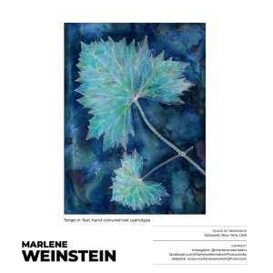 Marlene Weinstein_Tango in Teal - 1000x1000 logo