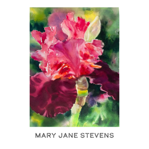 Mary Jane Stevens_IMG_0544 str8 LOGO