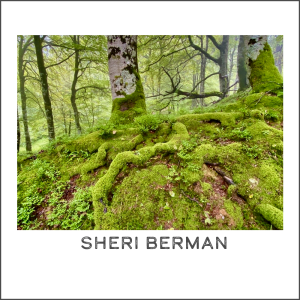 "Florest Floor" by Sheryl Berman

