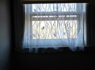 Bayard Cutting Arboretum Window View by Sue Miller