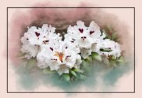 Flower Bouquet by Doris Diamond
