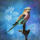 Fly Away by Doris Diamond