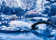 Japanese Garden by Doris Diamond