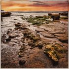 Pacific Coast Shoreline by Doris Diamond