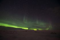 Northern Lights Iceland by Sue Miller