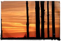 Sunset 5 by Sue Miller