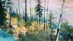 "In the Woods" by Victoria Beckert