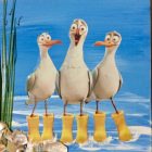 Happy BIrds by Diane Keil