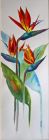 Birds of Paradise by Andrea Larmor