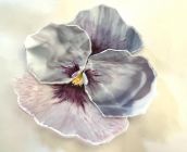 Delicate Pansy Plate by Julianna Kirk
