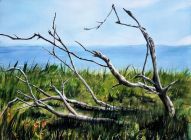 "Branch on the Beach" by Teresa Cromwell