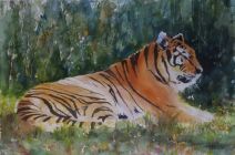 "Tiger" by Teresa Cromwell