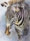 "Zebra" by Teresa Cromwell
