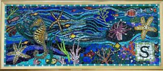 S is for Starfish by Judith Caseley