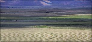 Farmland Abstract by Barbara Keenan