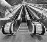 Going Up by Barbara Keenan