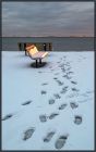 Sunset On The Snow by Barbara Keenan