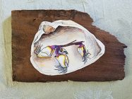 "Great South Bay Barnacles" by Tove Abrams